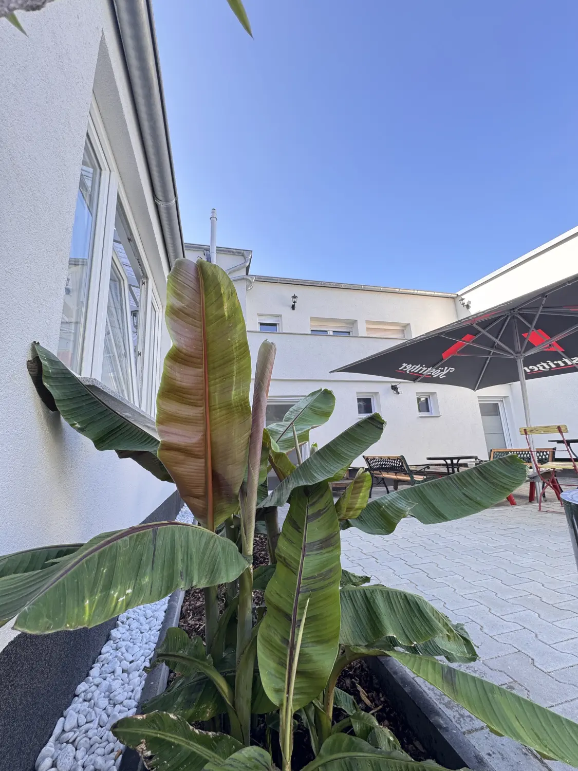 Pension Asiatisches Landhaus